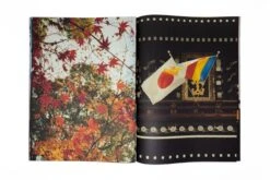 Quentin De Briey - はい ! (Hai !) -Yvon Lambert Soldes QuentindeBriey Hai 9