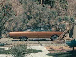 Romain Laprade - Américaine, Palm Springs, 2018