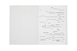 Stéphane Crémer - Programme -Yvon Lambert Soldes StephaneCremer Programme 2