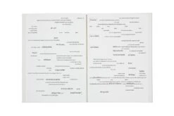 Stéphane Crémer - Programme -Yvon Lambert Soldes StephaneCremer Programme 3