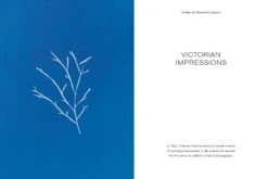 The Colour Journal – The Blue Issue -Yvon Lambert Soldes TCJ TheBlueIssue 11