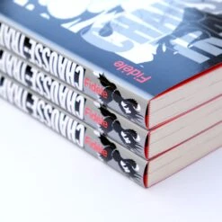 Henri Crabières - Chausse-trape -Yvon Lambert Soldes TRANCHE scaled 1