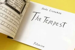 Jesús Cisneros - The Tempest -Yvon Lambert Soldes Tempest 3