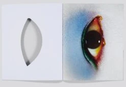 Carlijn Jacobs - Eyes -Yvon Lambert Soldes db82aabab7285fcf2b55dc06c9f842ad42e1c075 4630x3189 1