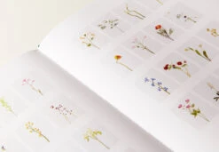 Julie Vallon - Flora Synthetica 9 Julie Vallon - Flora Synthetica -Yvon Lambert Soldes librairie YL2