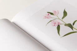 Julie Vallon - Flora Synthetica 10 Julie Vallon - Flora Synthetica -Yvon Lambert Soldes librairie YL3