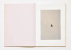 Ola Rindal - The Cloud The Bird And The Puddle 24 Ola Rindal - The Cloud The Bird And The Puddle -Yvon Lambert Soldes thecloudthebirdandthepuddle doc 006