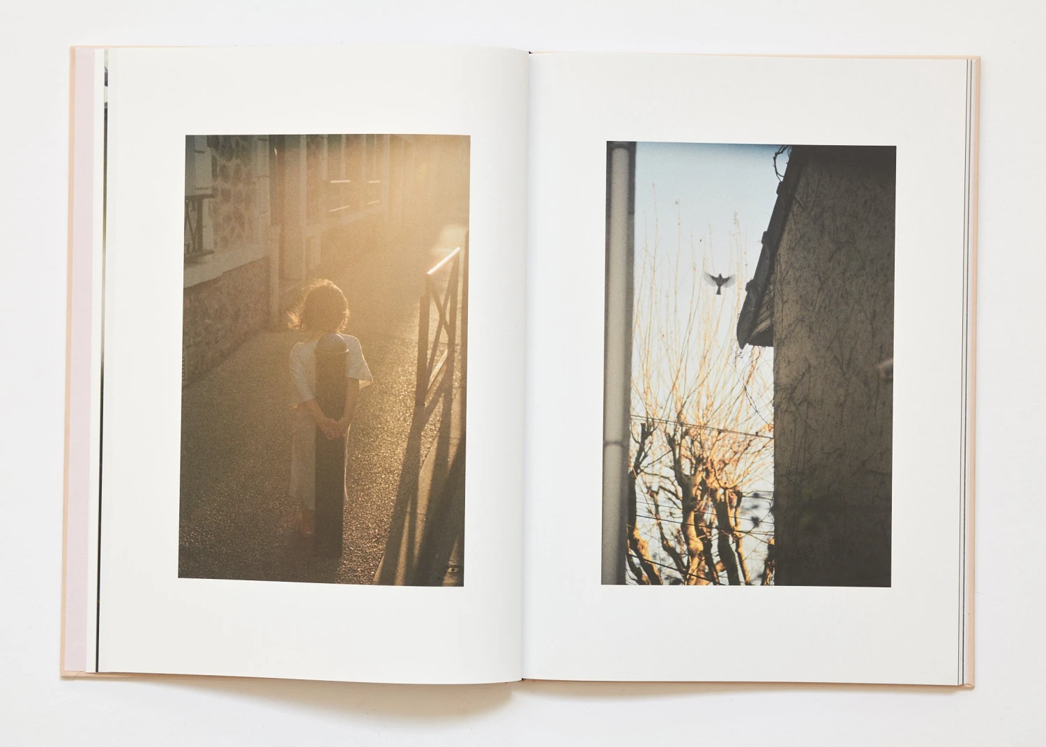 Ola Rindal - The Cloud The Bird And The Puddle 15 Ola Rindal - The Cloud The Bird And The Puddle – Image 13