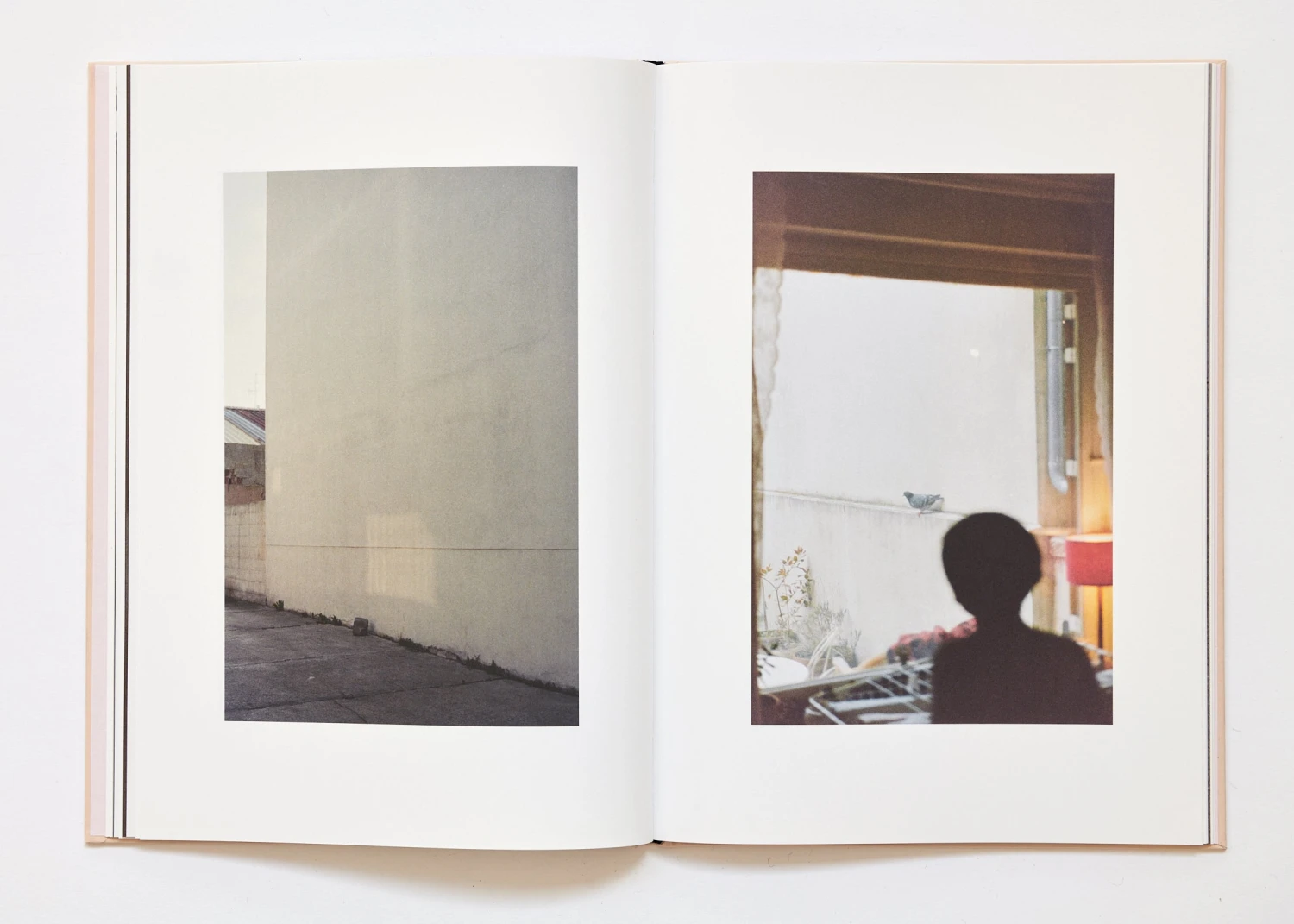 Ola Rindal - The Cloud The Bird And The Puddle 19 Ola Rindal - The Cloud The Bird And The Puddle – Image 17